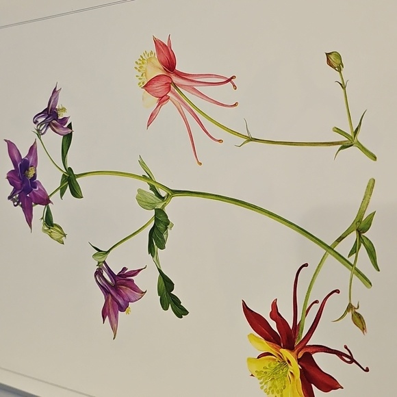 Coffee Table Book - Picture 2 of 4